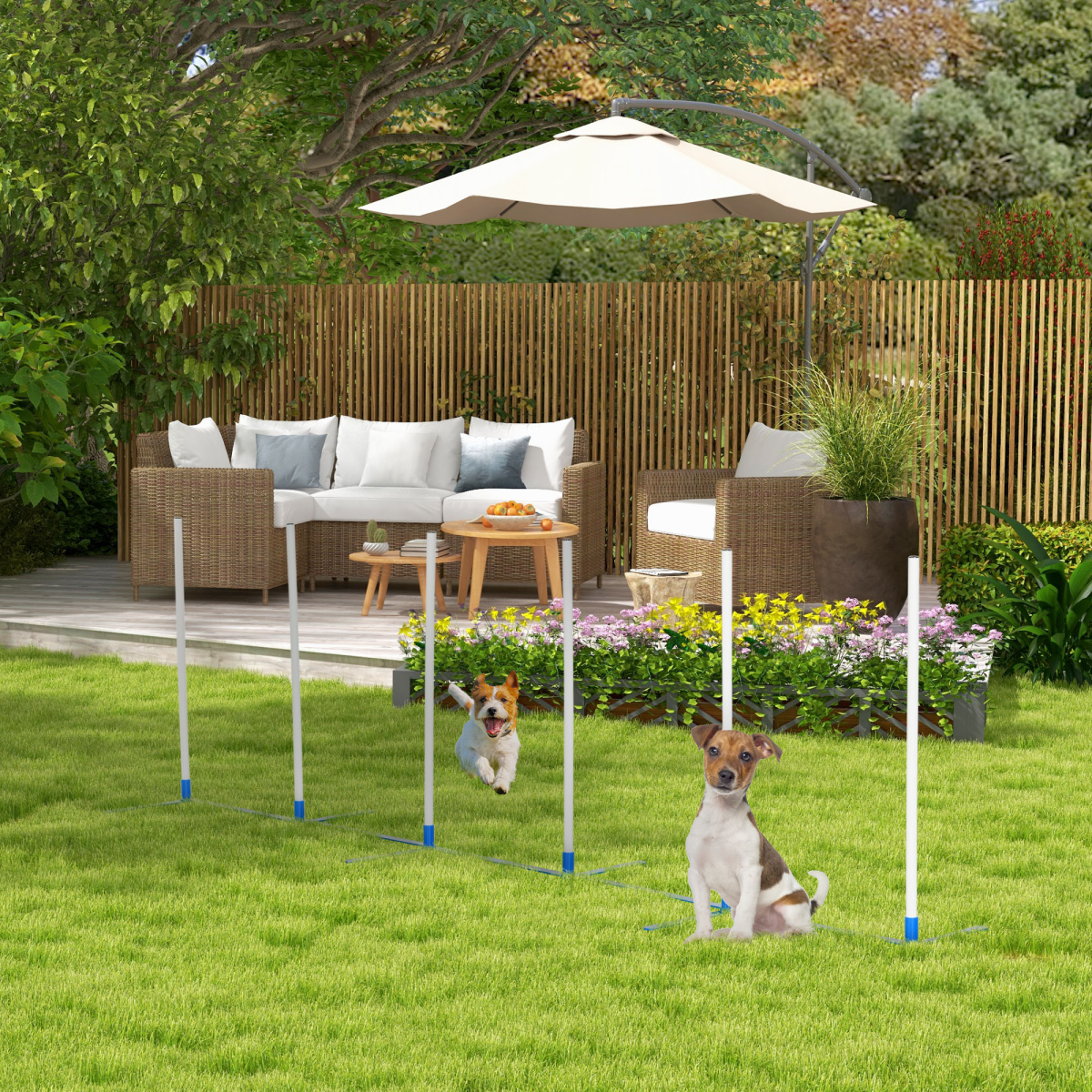 6-Pole Dog Agility Starter Kit - Foldable Outdoor Training Set