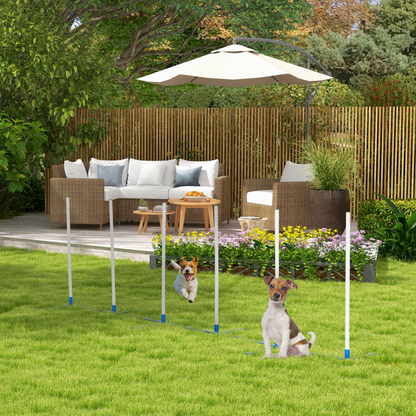 6-Pole Dog Agility Starter Kit - Foldable Outdoor Training Set