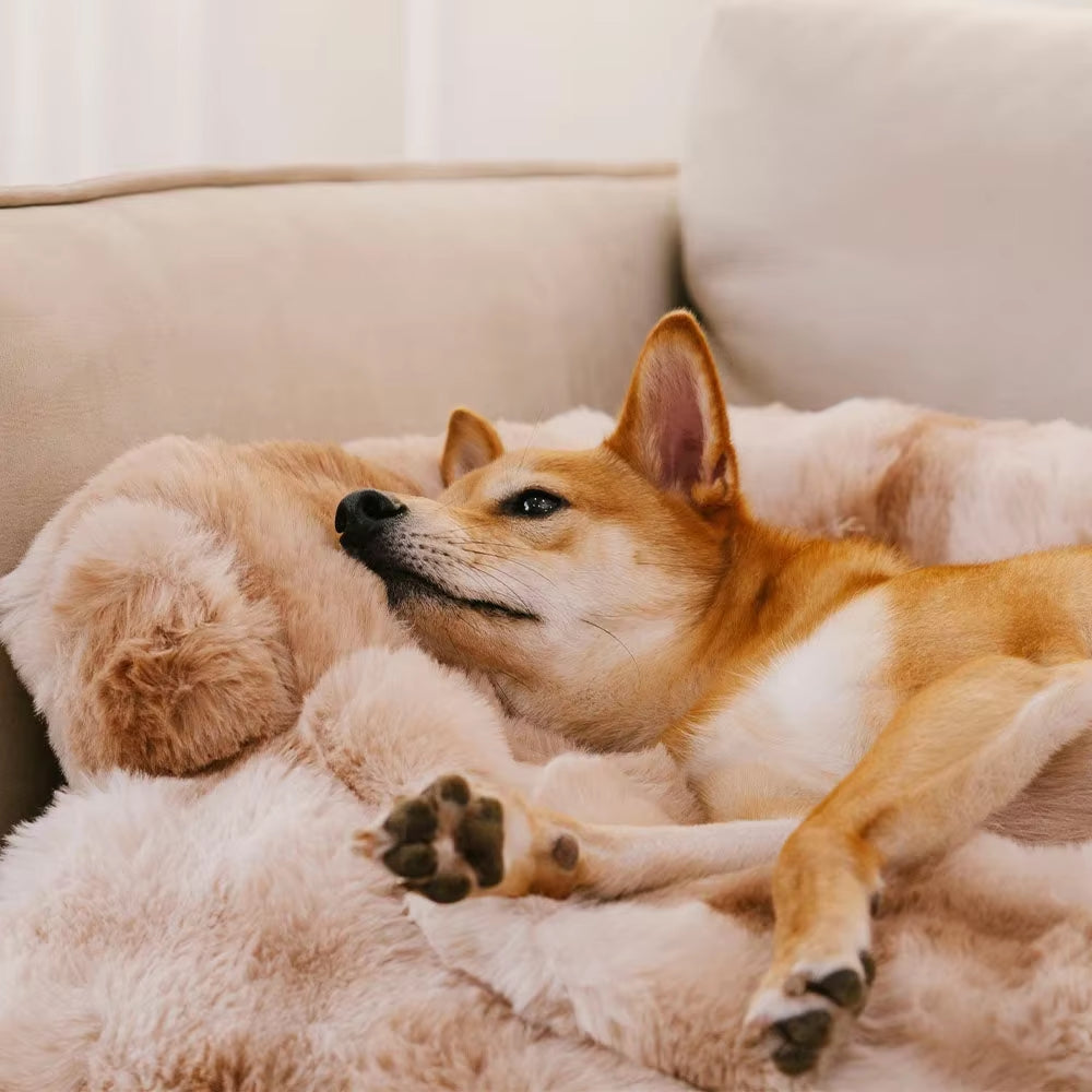 Plush Dog Bed & Couch Protector – the Ultimate Cozy Haven for Your Pup